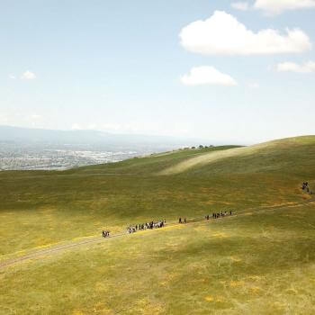 An aerial photo of line of hikers walking along a trail winding through green hills covered in yellow wildflowers, with a valley below in the distance