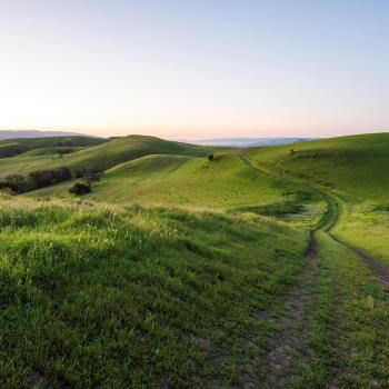 A dirt trail stretching over rolling green hills into the distance, under a light blue sky