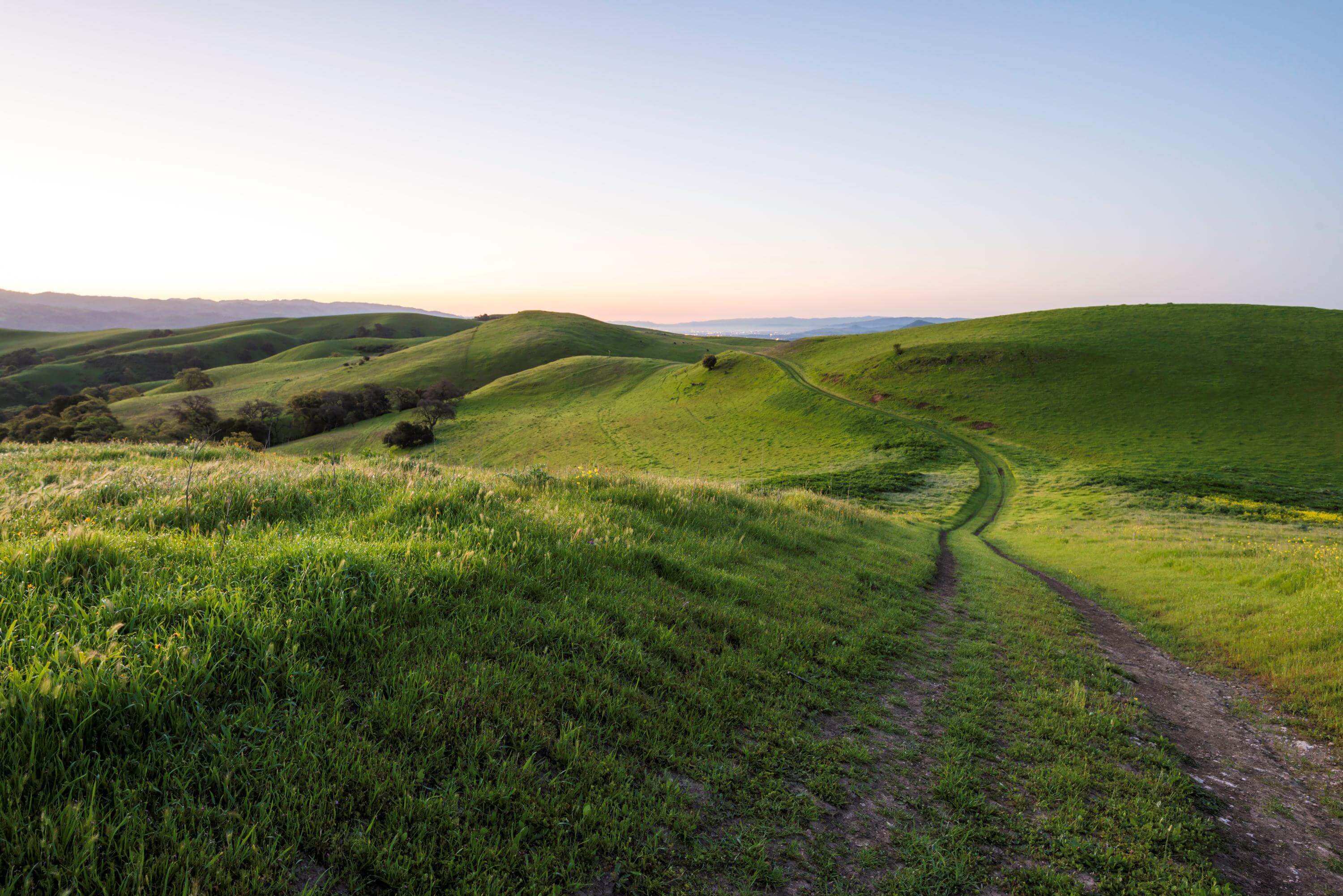 A dirt trail stretching over rolling green hills into the distance, under a light blue sky
