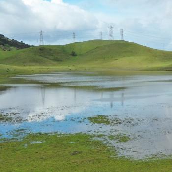 A shallow body of water between grassy green hills with a blue sky 