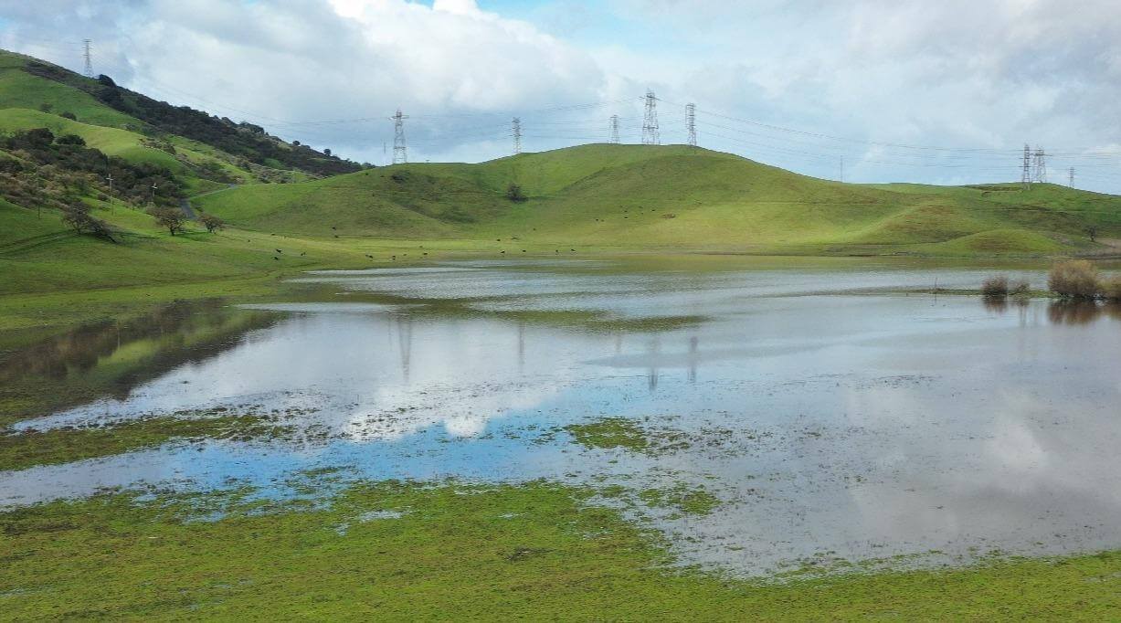 A shallow body of water between grassy green hills with a blue sky 