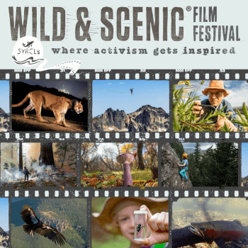 A collage of nature photos with the title "WILD & SCENIC Film Festival"