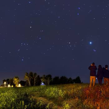 Three people stand in a dark grassy field looking up at a dark blue night sky filled with stars