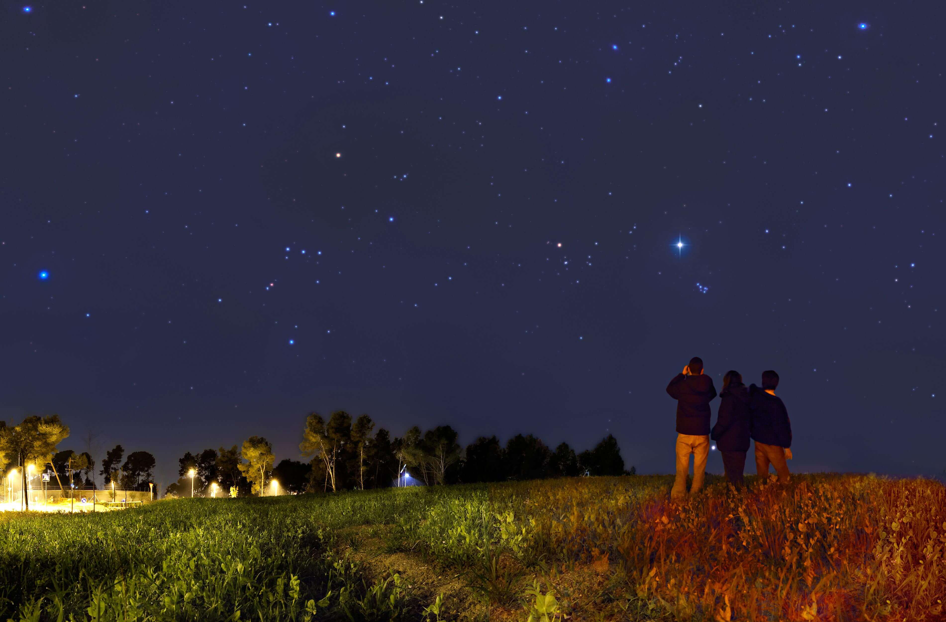 Three people stand in a dark grassy field looking up at a dark blue night sky filled with stars