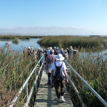 Group of people walking along a bridge leading to a large marsh 