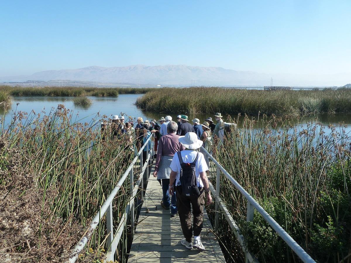 Group of people walking along a bridge leading to a large marsh 