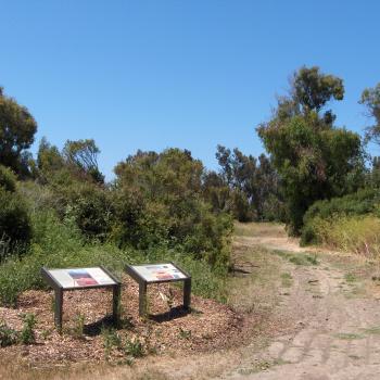 A trail with shrubs and two information stands