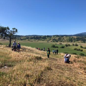 A sunny, grassy hilltop with a clear blue sky. A group of hikers, diverse in age and attire, walk and rest on a dirt path. A lone tree stands to the left, with rolling green fields and distant hills in the background. 