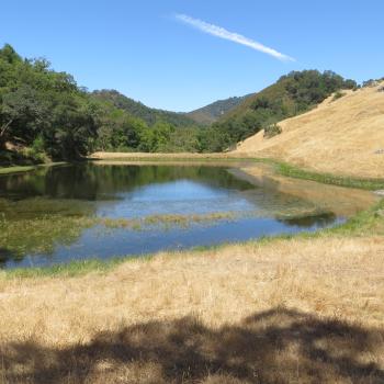 A serene, small pond surrounded by dry, golden grass and lush green trees. The pond reflects the blue sky with a single white contrail. Mountainous terrain is visible in the background, under a clear, bright blue sky.
