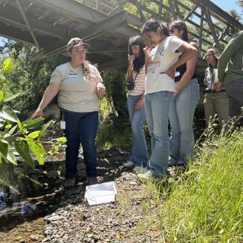 A group of young people learn about a native plant from an adult while standing under a bridge.
