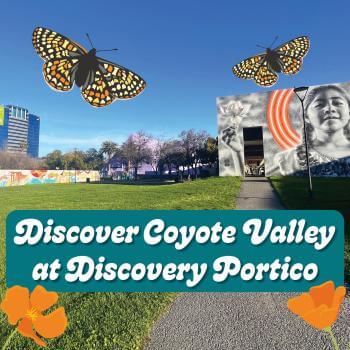 Event graphic with words "Discover Coyote Valley at Discovery Portico" over photo of park area with butterflies and poppies