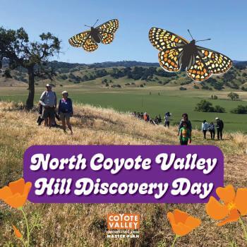 Event graphic with text "North Coyote Valley Hill Discovery Day" over photo of grassy hiking hill with butterflies and poppies