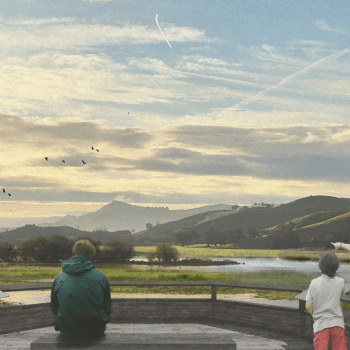 A design mock up shows the concept of an overlook at Laguna Seca with people admiring the views, interpretive signage and a restored wetland.