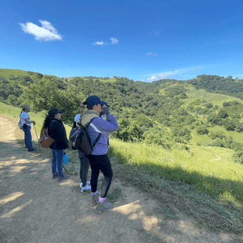 Four hikers on a sunlit, grassy mountain trail, wearing casual outdoor clothes, with lush green hills and a clear blue sky in the background.