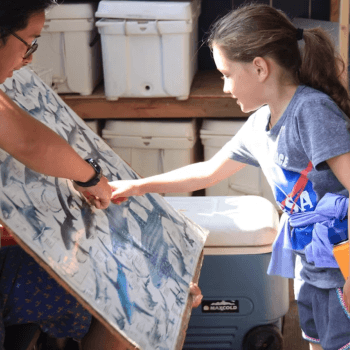 Child pointing to a poster with illustrations of shark species