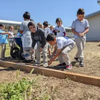 Group of children in gray school uniforms gathered around a garden bed