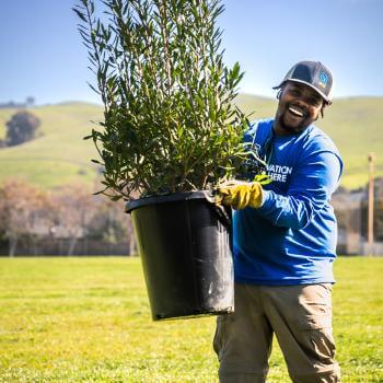 A smiling young adult in a blue shirt and gray hat holding up a large shrub in a plastic container in front of a green landscape
