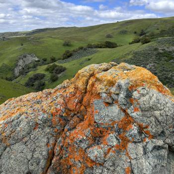 A rocky hillside with vibrant orange and yellow lichen, green grassy slopes, scattered bushes, and a blue sky with white clouds.