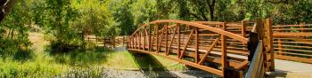 A rust-colored pedestrian bridge spans a small creek surrounded by lush trees on either side and under a bright blue sky