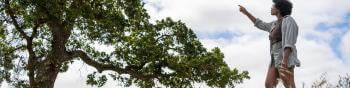 A hiker looks up to and points to a tree