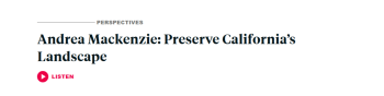 Andrea Mackenzie Perspectives Header