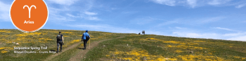 People walking on the Serpentine Spring Trail. Hills are green with yellow flowers. Aries symbol in the left corner.
