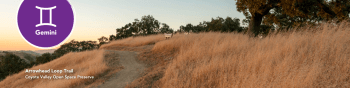 Arrowhead loop trail path surrounded by yellow grass. Gemini symbol in the left corner.