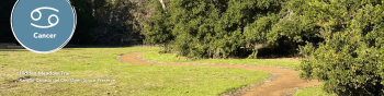 Hidden Meadow Trail with green grass and large shrubbery. Cancer symbol in the left corner.