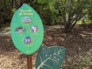 An educational sign shaped like a green leaf on a brown post with the words "Sounds of water" and photos, in front of a shaded park area with a trail