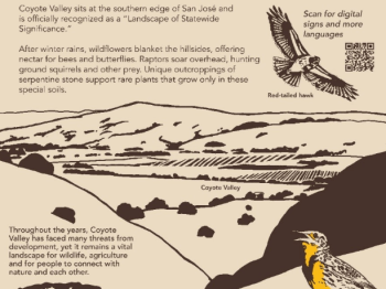 Tan sign with brown text and illustrations of Coyote Valley