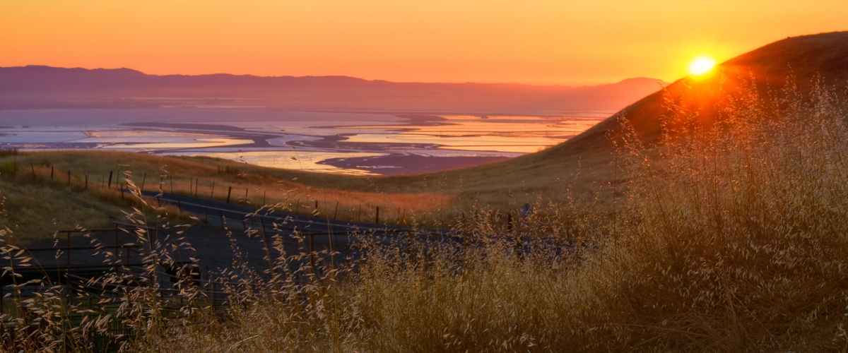 Sunset from Sierra Vista' golden hills looking to South Bay marshlands below