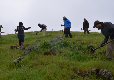 Seven volunteers with jackets and hoes clearing weeds on a green hillside under an overcast sky
