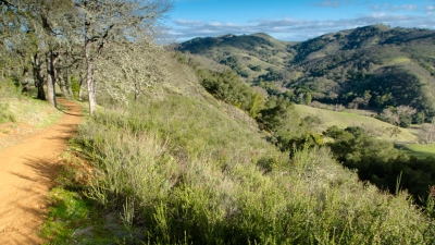 Dirt trail at top of shrub-covered slope, with trees and hillsides below and in the distance