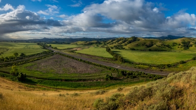View of North Coyote Valley Conservation Area during Spring