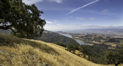 View from top of golden hillside with oak tree looking down across expansive valley with reservoir and mountains in the distance