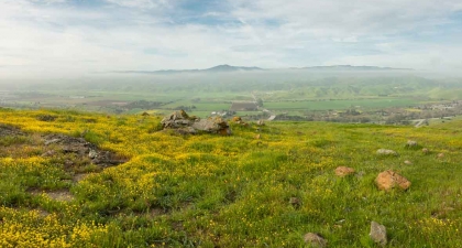 Grassy field with yellow wildflowers on top of Coyote Ridge overlooking Coyote Valley below