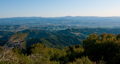 Looking across mountain range extending to horizon, trees in foreground