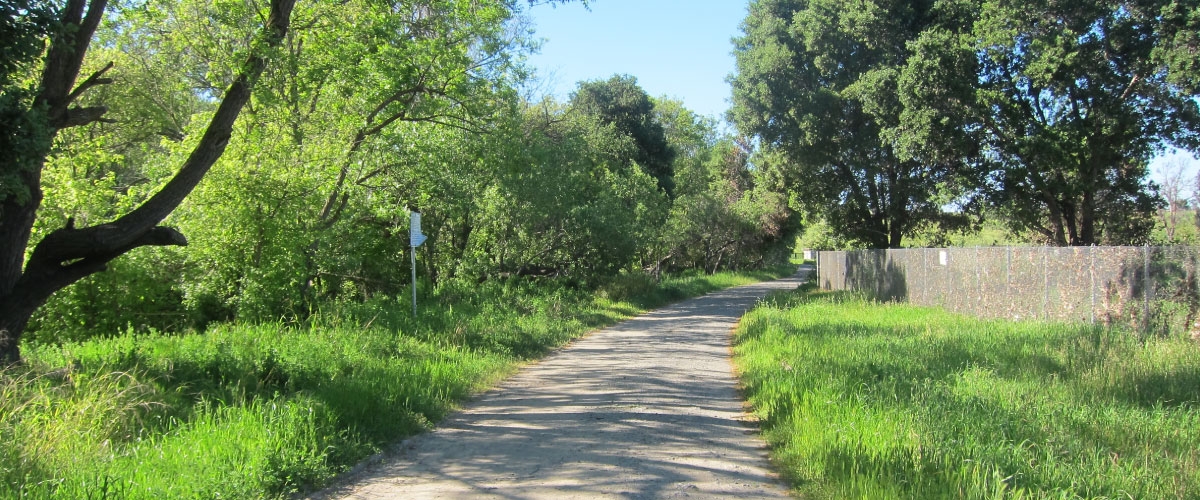 Wide gravel path next to green grass and trees