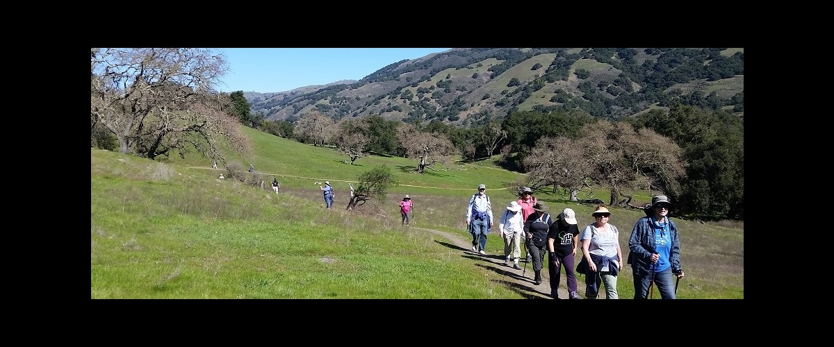 Group of people on hike