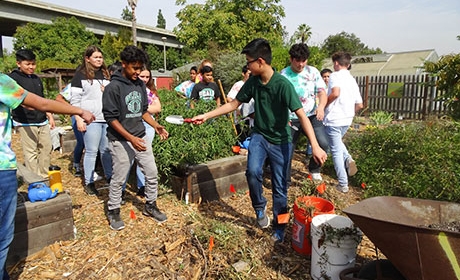 Group of students working in garden as part of Eastside Explorers program