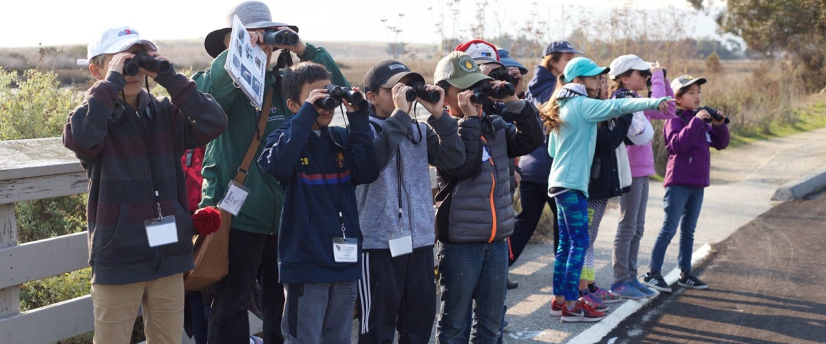 Group of birders looking through binoculars