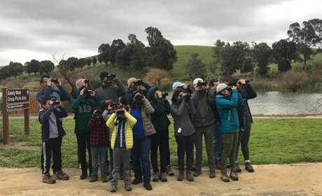 Group of birders looking through binoculars