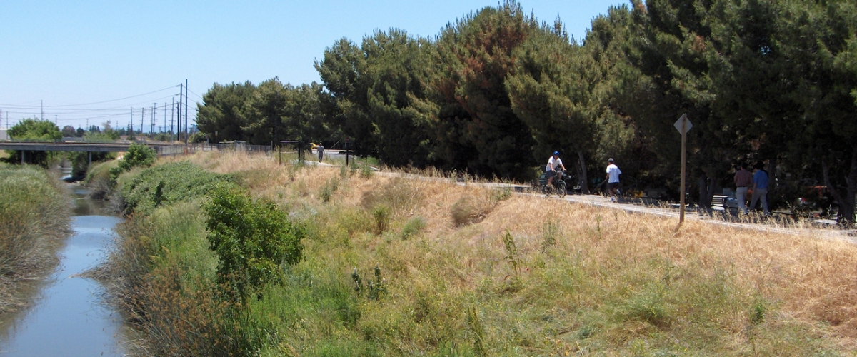 Bikers and joggers on San Tomas Aquino Creek Trail above grassy bank with full creek below