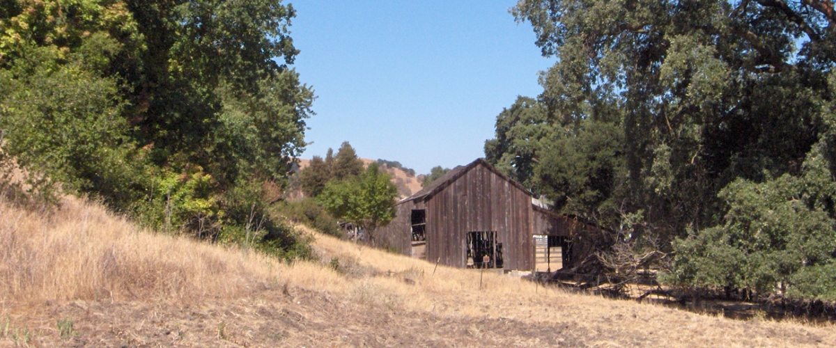 Old brown barn and oak trees at bottom of slope at Santa Teresa County Historic Park