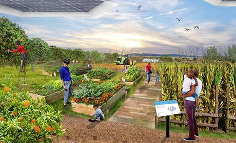 Artistic rendering of Veggielution that depicts diverse farm visitors, walkways, solar panels, orchards, garden beds, and fields of crops
