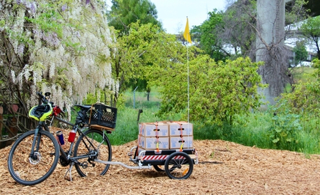 Farmbox Bicycle delivery loaded with supplies