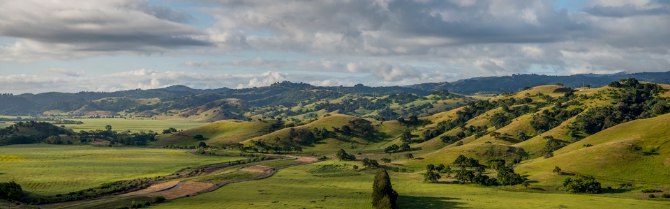 Coyote Valley landscape of green fields and hillsides