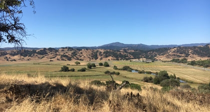 Landscape view of North Coyote Valley looking across green and golden fields