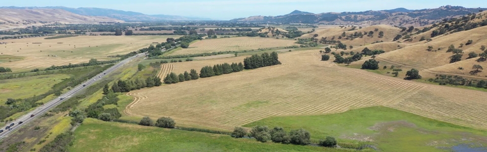 Aerial view of Coyote Valley's green and golden fields