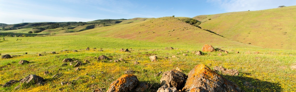 Green field with lichen-covered rocks sloping up to hills